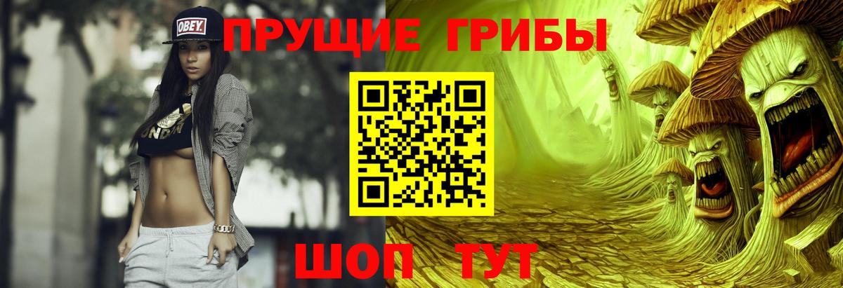 Буйнакск  Псилоцибиновые грибы мухоморы  Вход с VPN 
