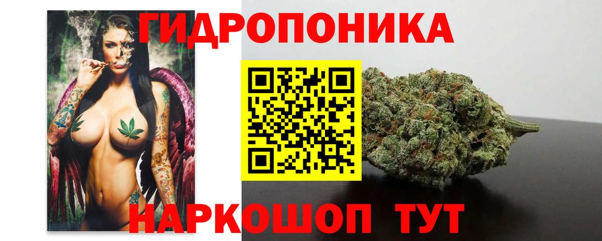 Бошки Шишки тримм Буйнакск