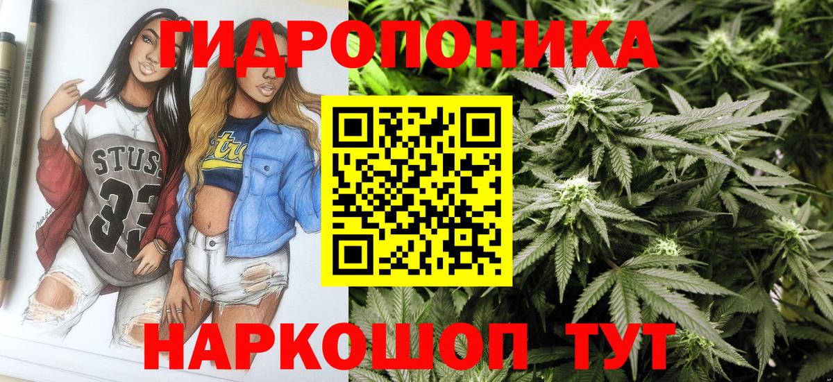 Бошки марихуана сатива  Вход с VPN  Буйнакск  Бошки Шишки AK-47  Бошки Шишки планчик 